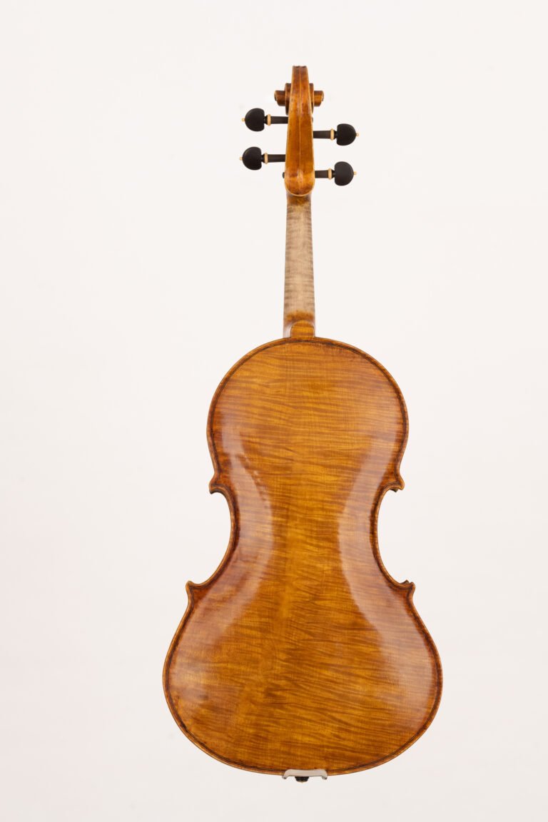 DSZ_1717